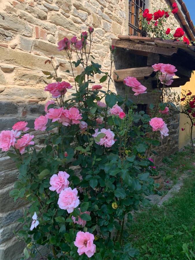 Le Mulina Barberino di Mugello Exterior foto
