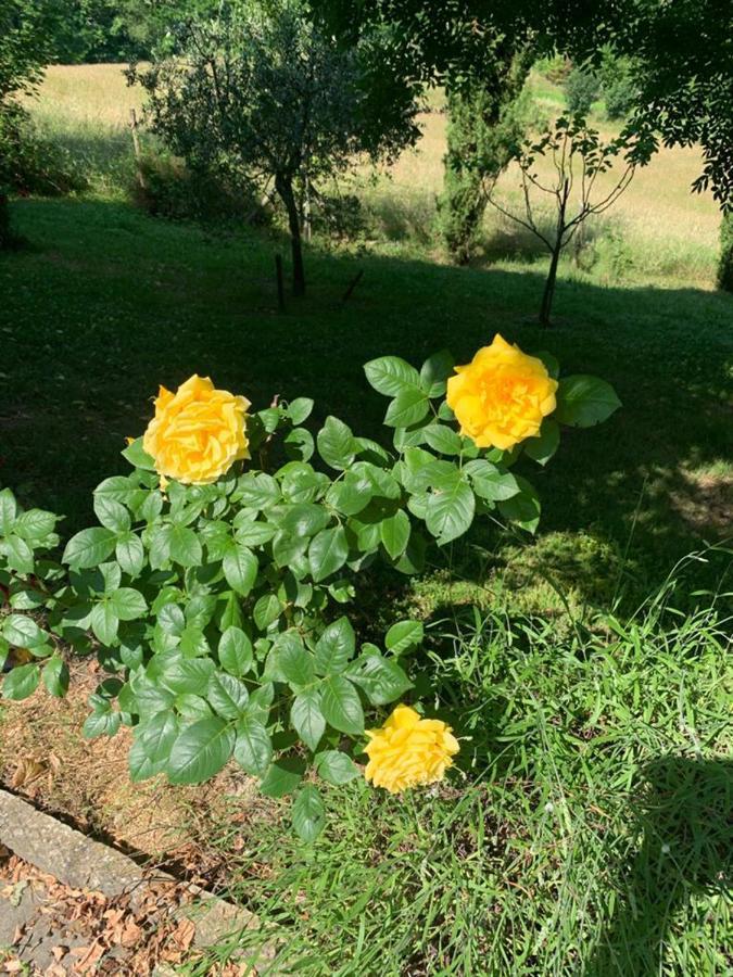 Le Mulina Barberino di Mugello Exterior foto
